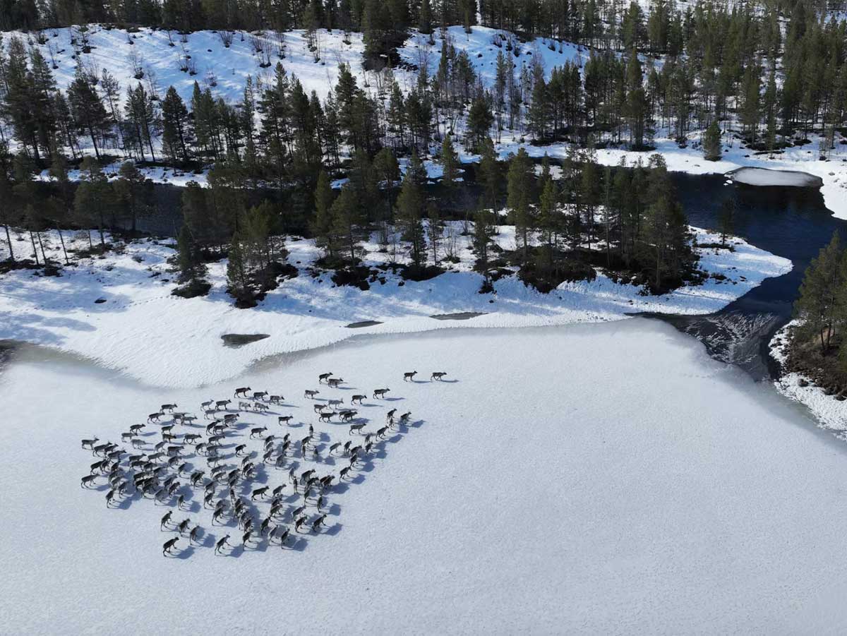 “Our land is different now.”