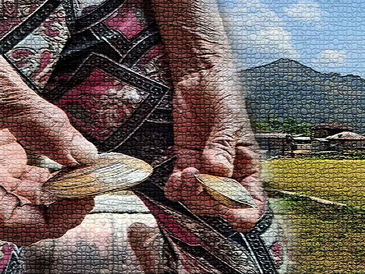 Tanglag Women’s Participation in Food Security and in Preserving Indigenous Food Systems