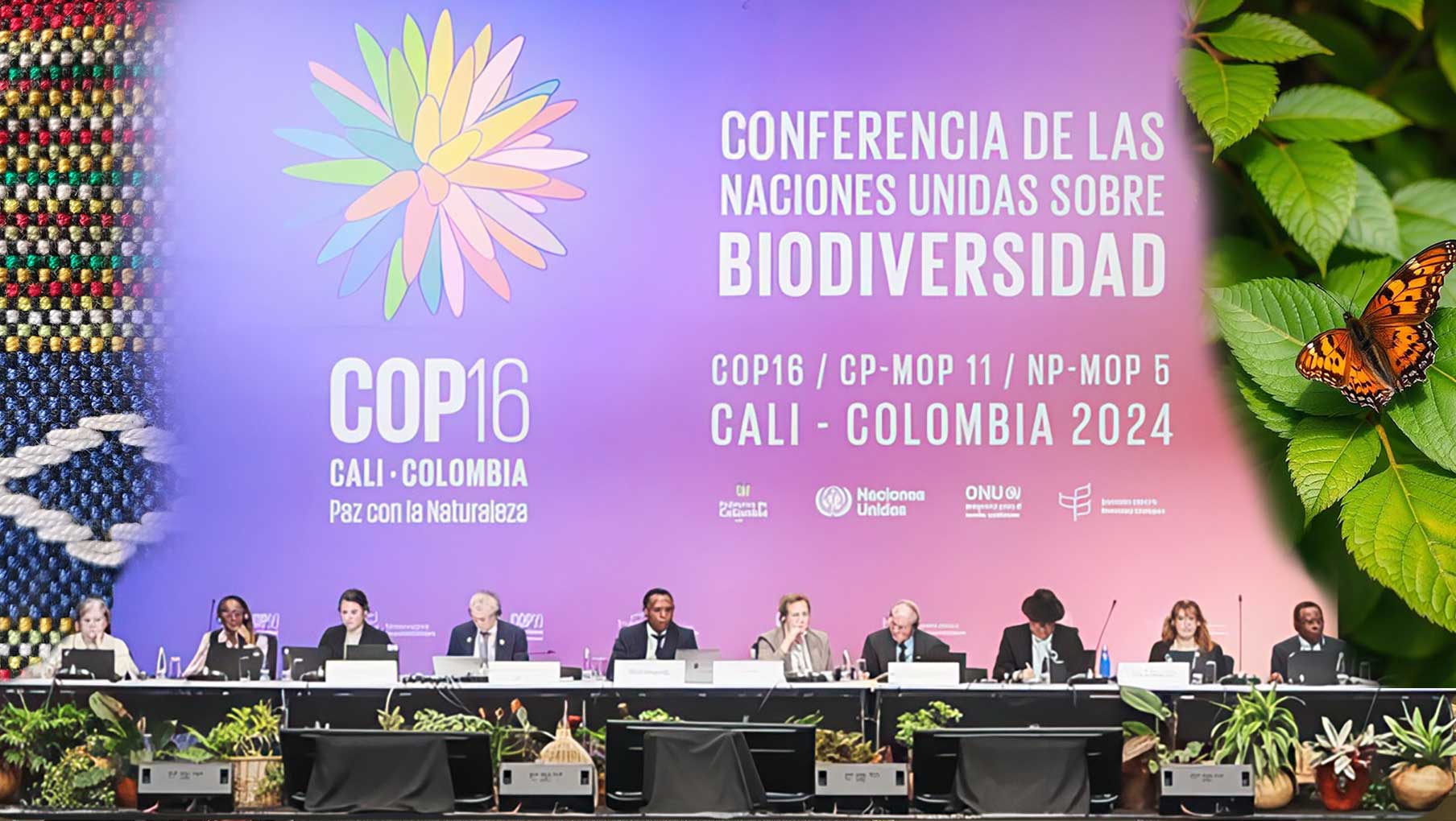 COP 16 enacts Indigenous Peoples and Local Communities’ Role in Biodiversity Conservation