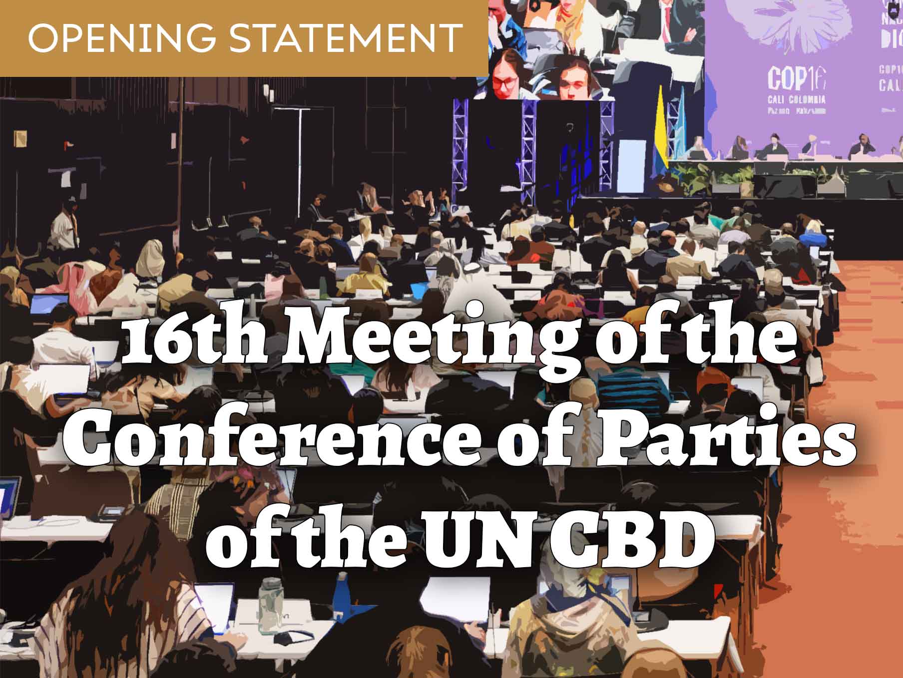 Opening Statement of IIFB (International Indigenous Forum on Biodiversity) to the 16th Meeting of the Conference of Parties of the UN CBD (Convention on Biodiversity), in Cali, Colombia