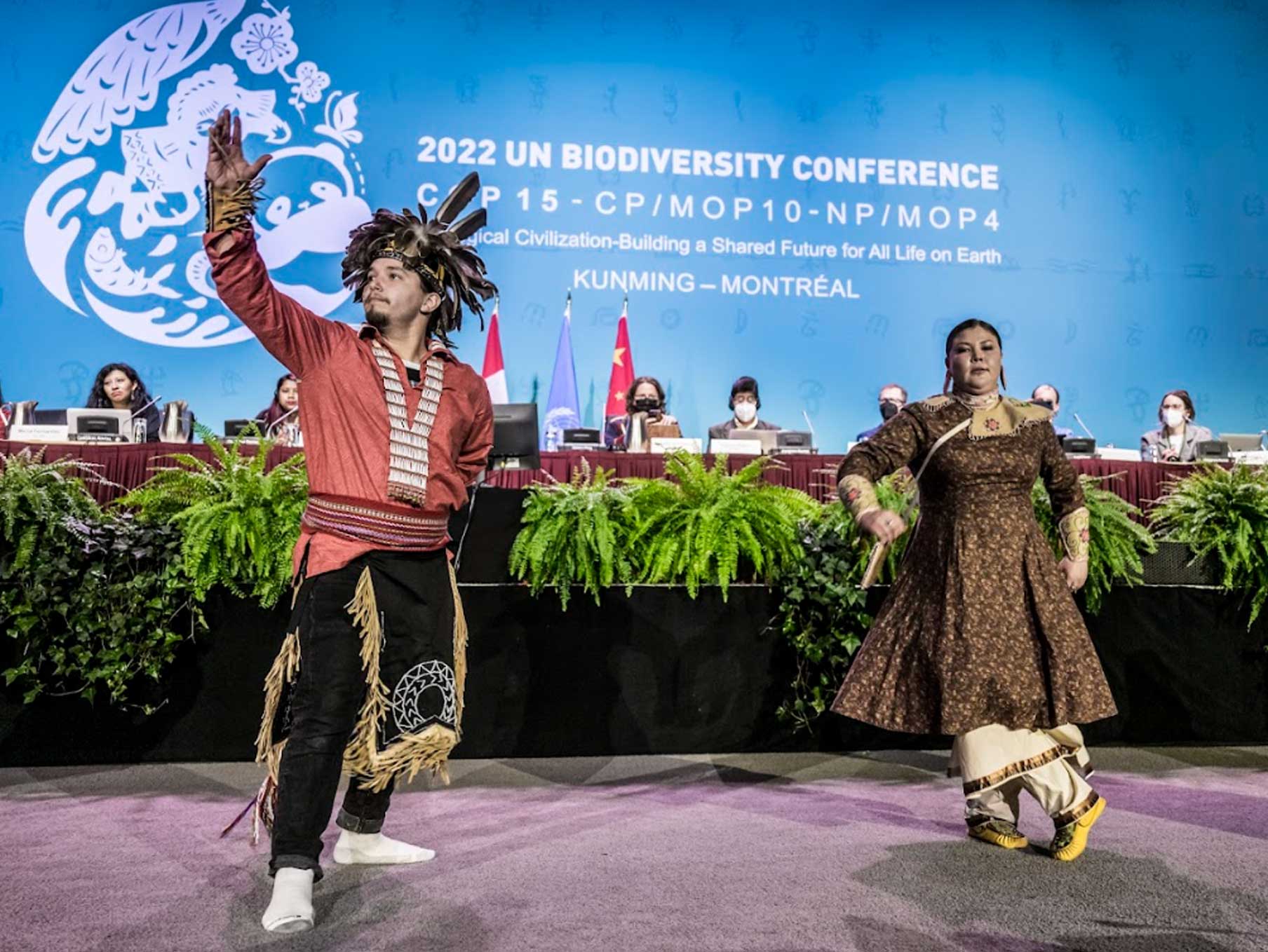 Indigenous ways of knowing and key learnings from the Kunming-Montreal Conference on the Global Biodiversity Framework